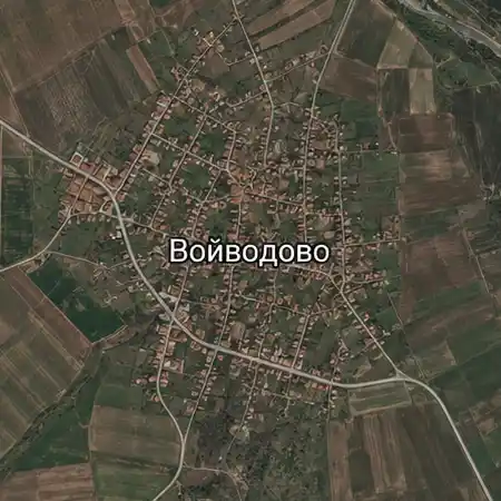 Войводово (област Хасково)