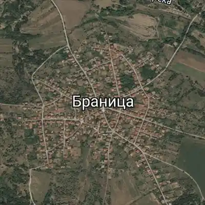 Браница