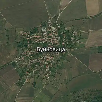 Буйновица