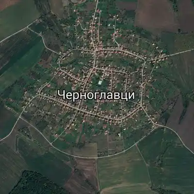 Черноглавци