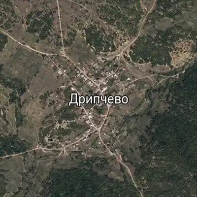 Дрипчево