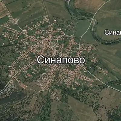 Синапово