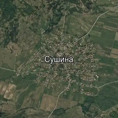 Сушина