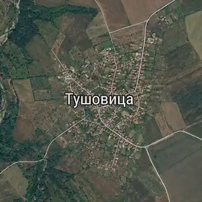 Тушовица