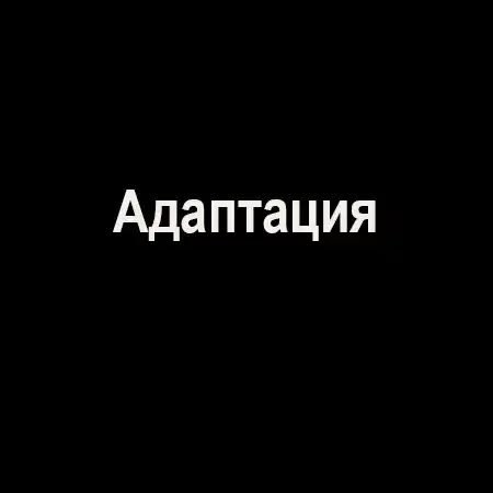 Адаптация