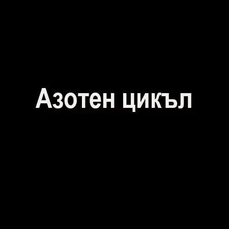 Азотен цикъл