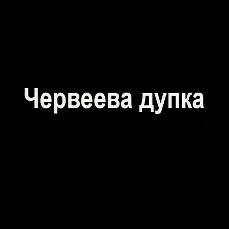 Червеева дупка