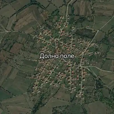 Долно поле
