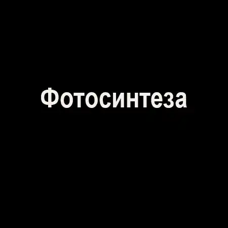 Фотосинтеза
