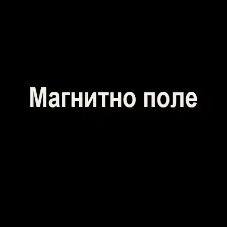 Магнитно поле