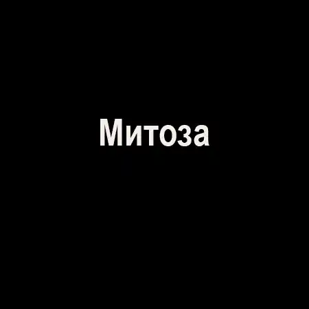 Митоза