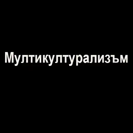 Мултикултурализъм