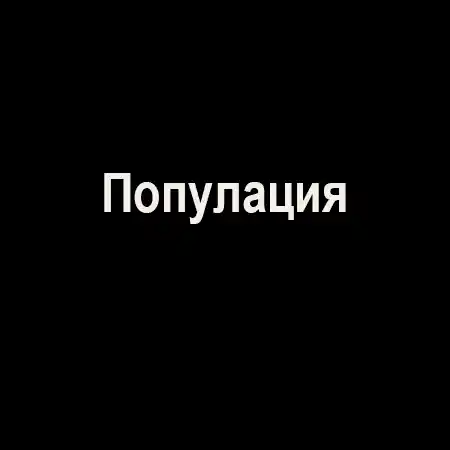 Популация