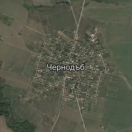 Чернодъб