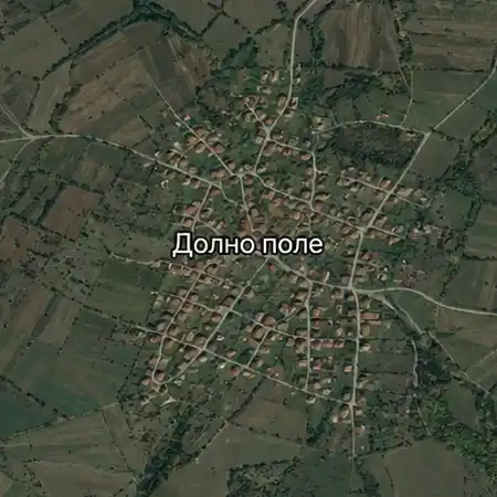 Долно поле