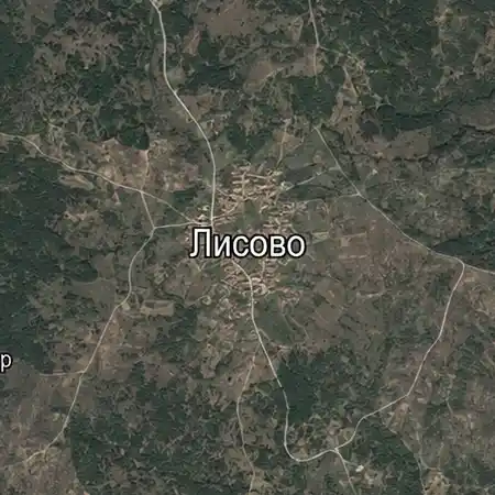 Лисово
