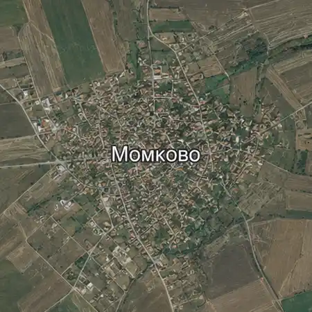 Момково
