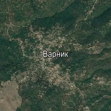 Варник