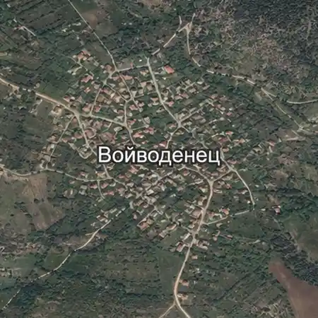 Войводенец