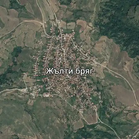 Жълти бряг