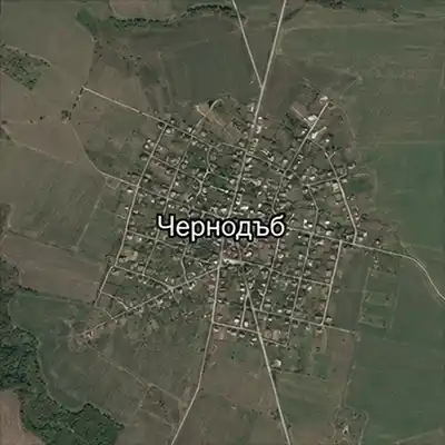 Чернодъб