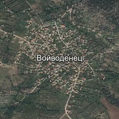 Войводенец