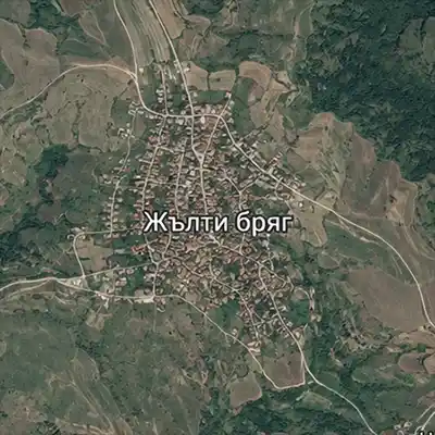 Жълти бряг